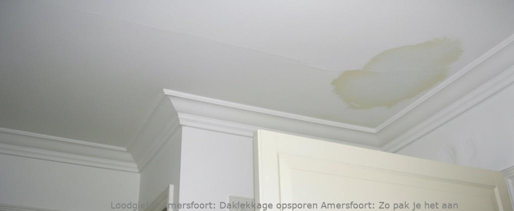 Daklekkage Opsporen Amersfoort