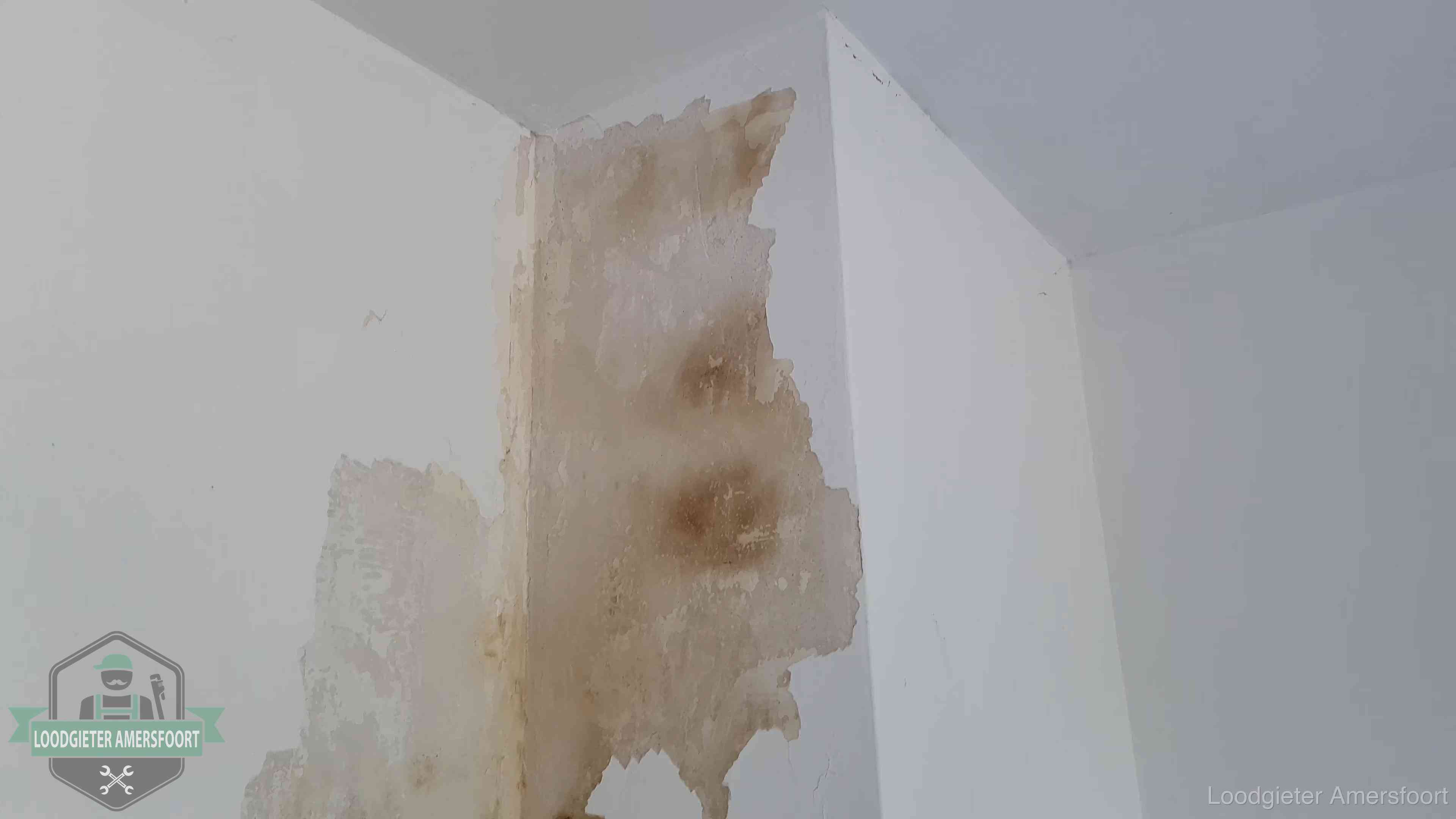 Bruine vochtkringen en afbladderend stucwerk op een binnenmuur in Amersfoort, een eerste teken van daklekkage