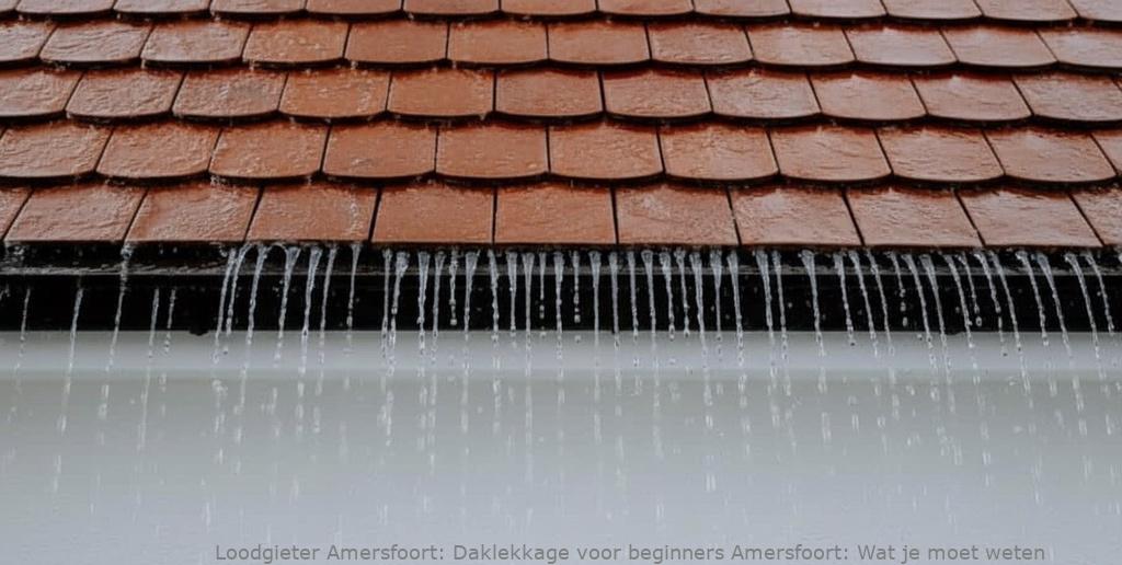 Daklekkage Voor Beginners Amersfoort