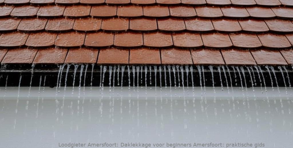 Daklekkage Voor Beginners Amersfoort
