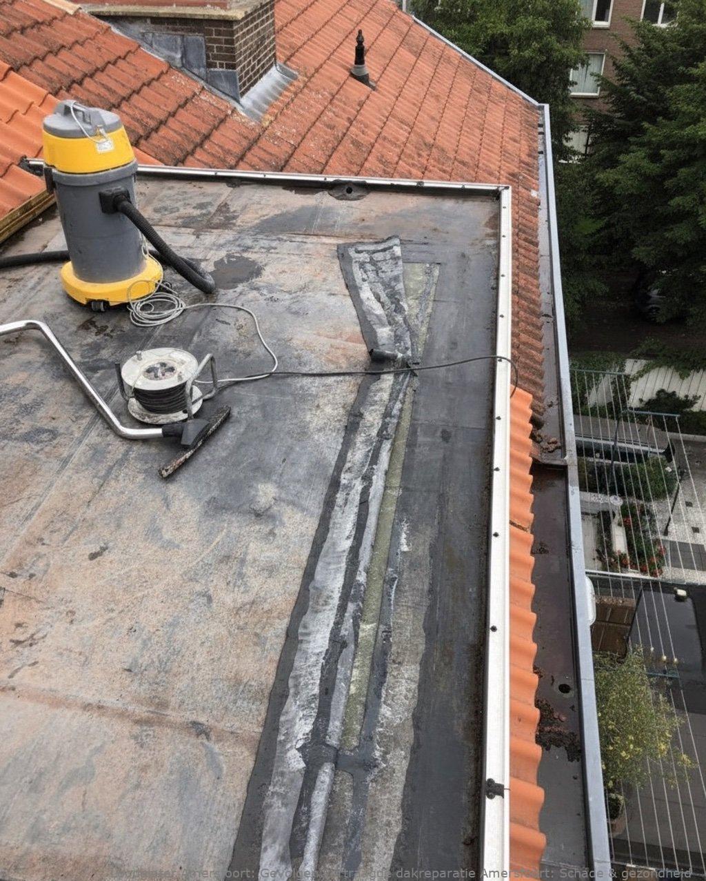 Gevolgen Vertraagde Dakreparatie Amersfoort