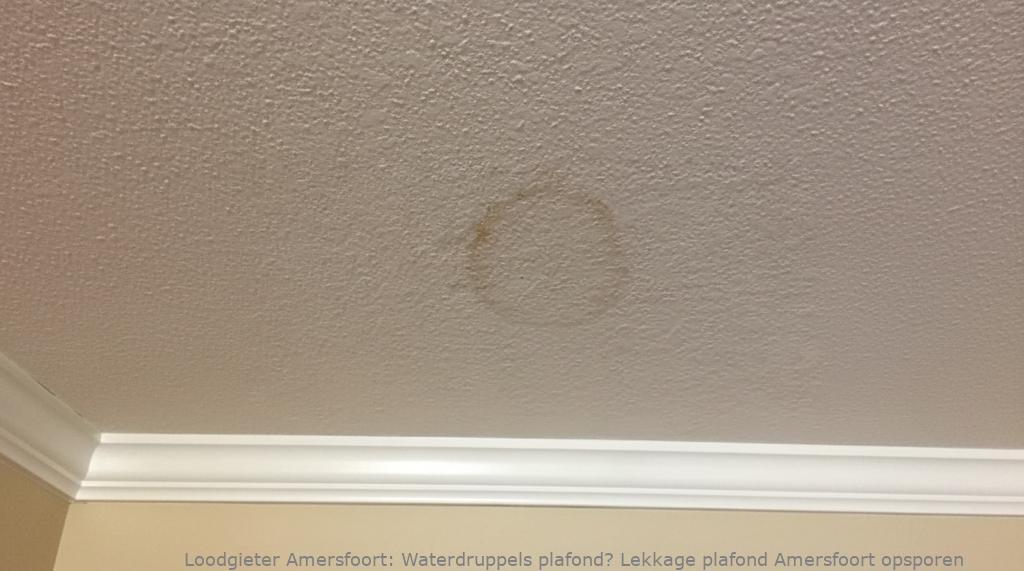 Lekkage Plafond Amersfoort