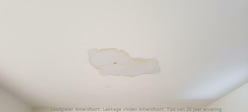 Lekkage Vinden Amersfoort