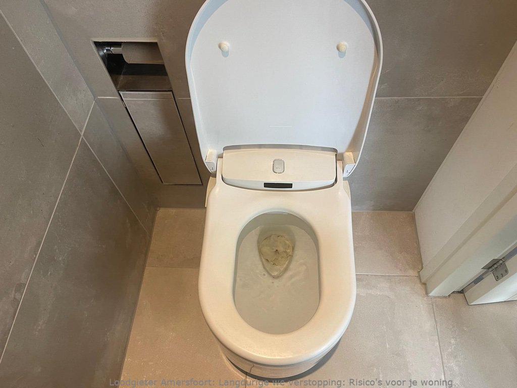 Toilet Verstopping Amersfoort