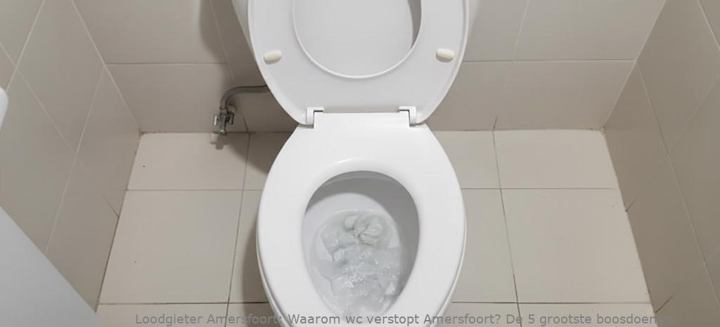 Waarom Wc Verstopt Amersfoort