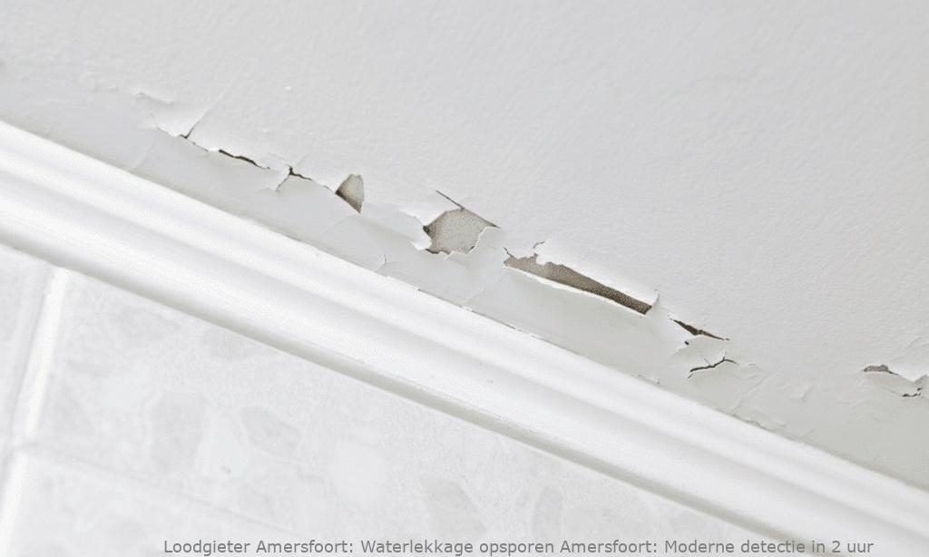 Waterlekkage Opsporen Amersfoort