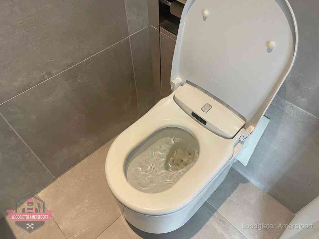 Wc Verstopt In Amersfoort